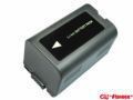 Panasonic CGR-D16s (D28)